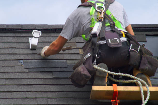 Best Roof Moss and Algae Removal  in Tyro, NC