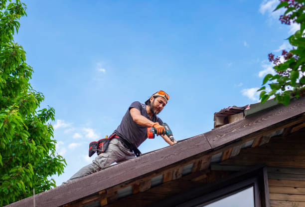 Best Steel Roofing  in Tyro, NC
